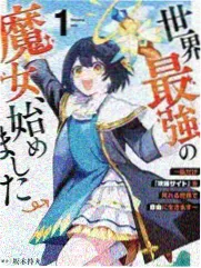 深夜食堂观察综艺画面